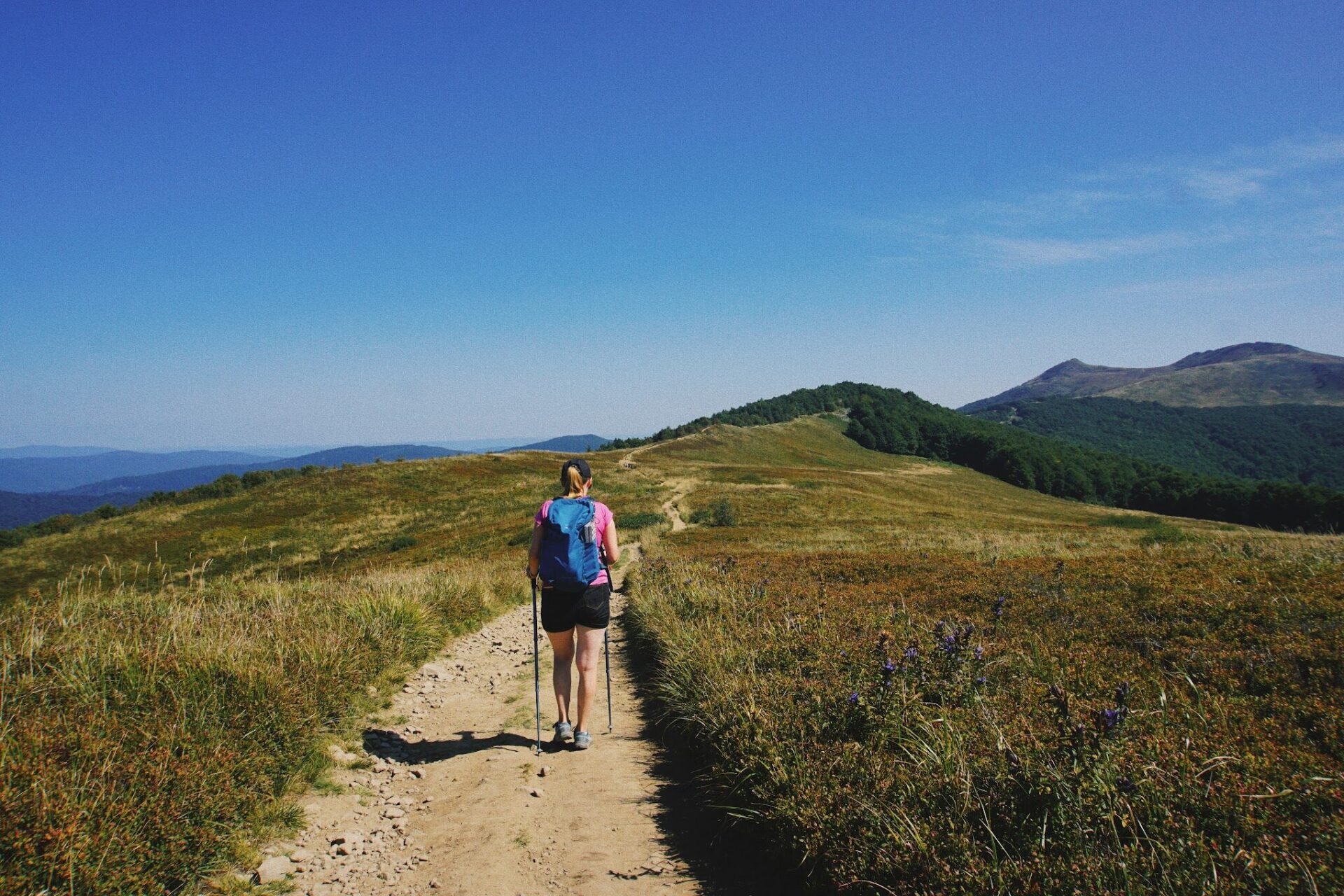 Korona Bieszczadów: Połonina Wetlińska (Smerek)
